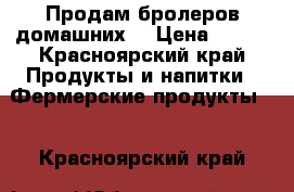 Продам бролеров домашних! › Цена ­ 300 - Красноярский край Продукты и напитки » Фермерские продукты   . Красноярский край